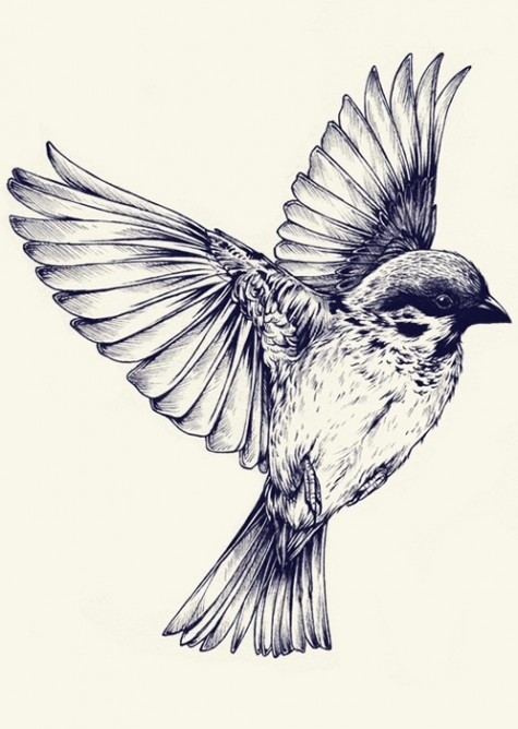 Realistic black-and-white flying bird tattoo design
