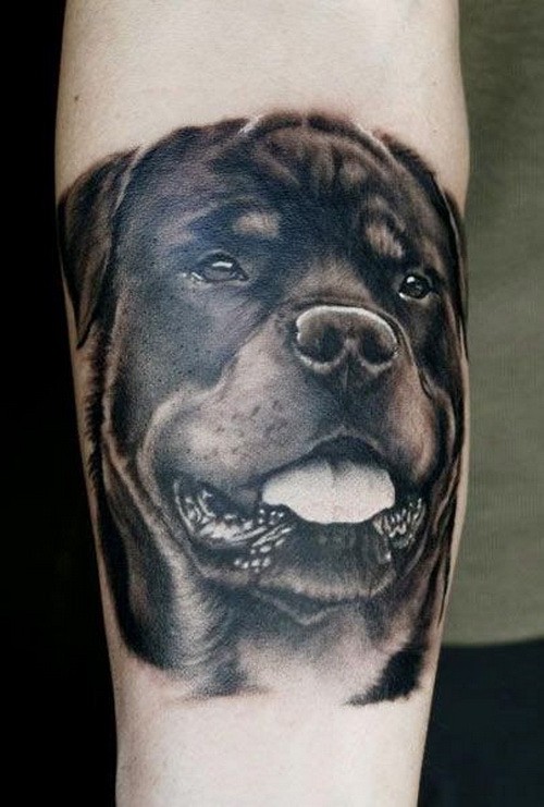 Realistic black-and-white rottweiler head tattoo on arm