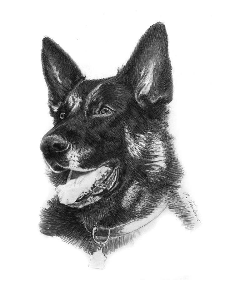 Realistic black-coloring german shepherd portrait tattoo design