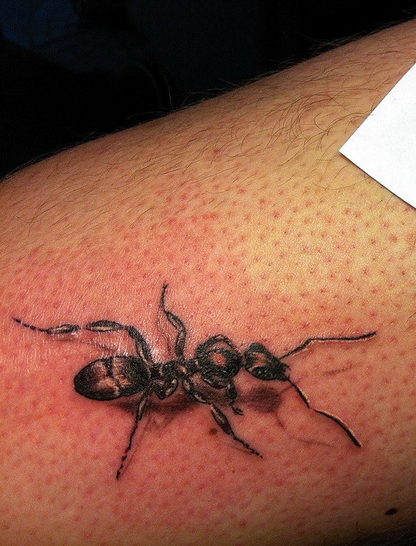 Realistic black-ink ant tattoo on leg