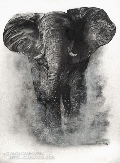 Realistic black elephant running in water splashes tattoo design