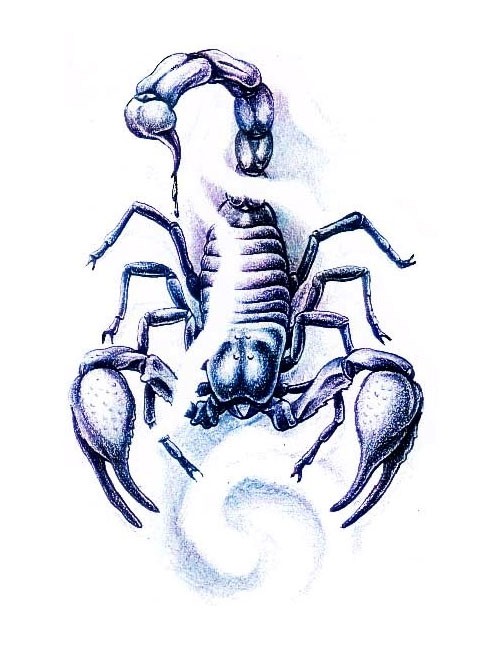 Realistic blue scorpion in white smoke tattoo design