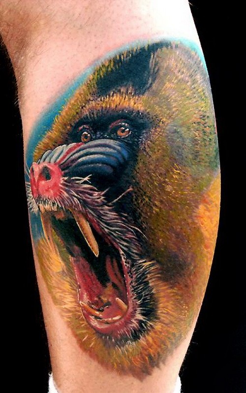 Realistic color-ink baboon portrait tattoo on arm