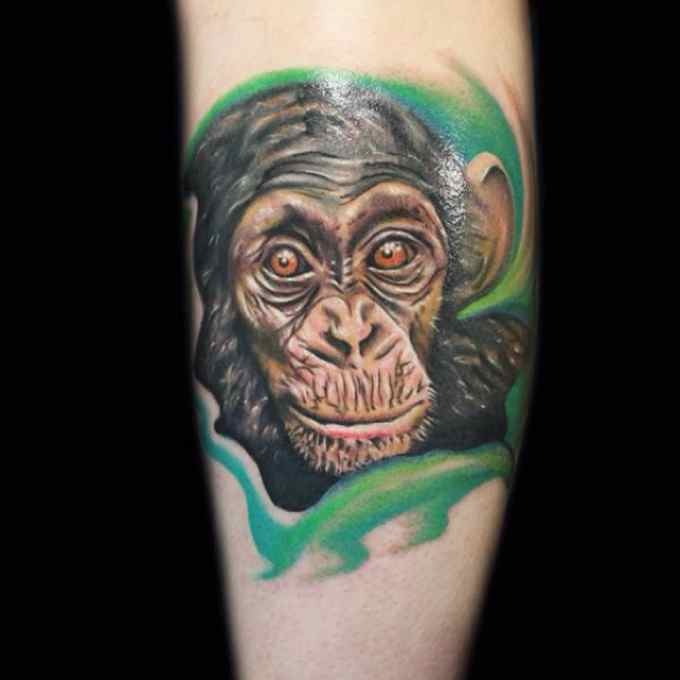 realistico colorato scimpanze` in tropico tatuaggio su braccio