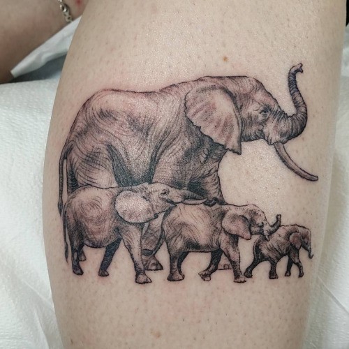 realistico famiglia elefante tatuaggio su stinco