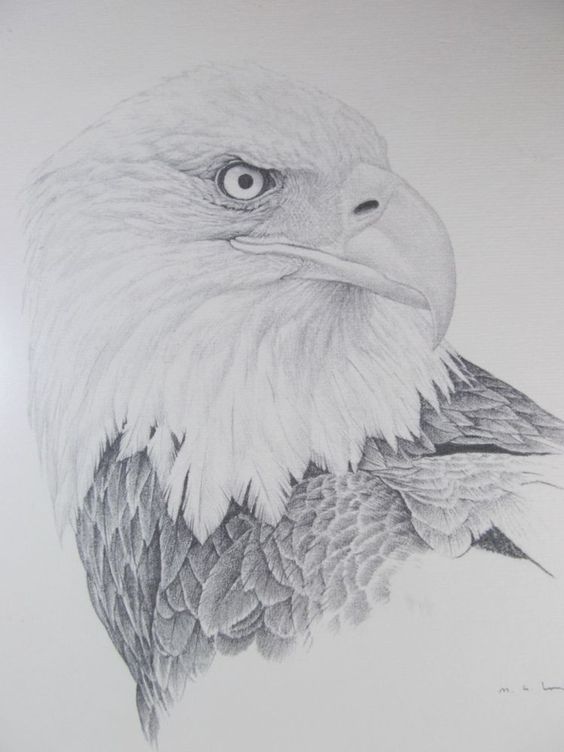 Realistic grey-color eagle portrait tattoo design
