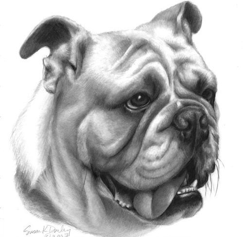 Realistic grey-ink bulldog portrait tattoo design