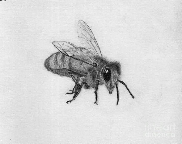 Realistic grey-ink flying bee tattoo design