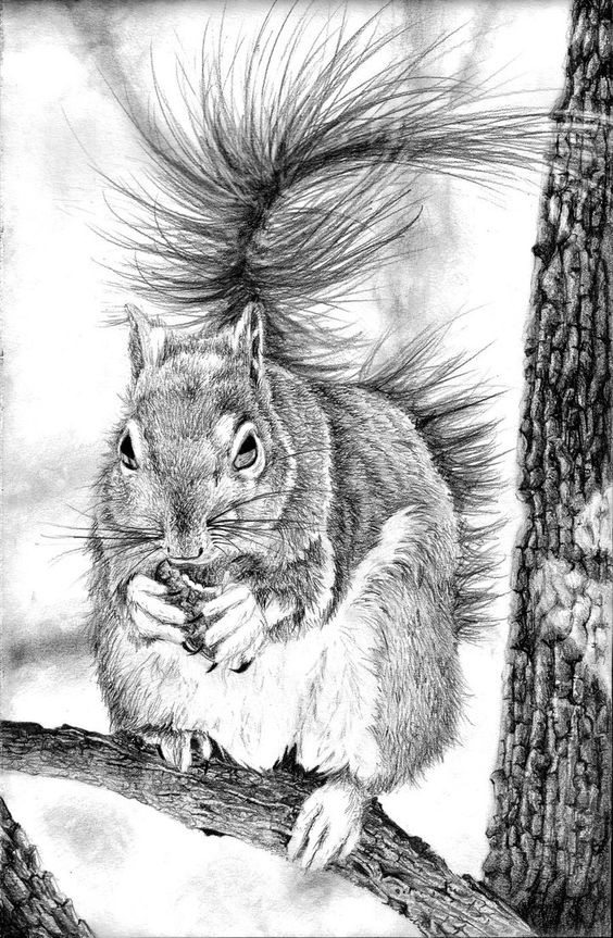 Realistic grey-ink freezed squirrel sitting on tree tattoo design
