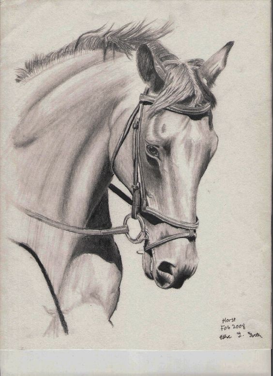 Realistic grey-ink horse portrait tattoo design