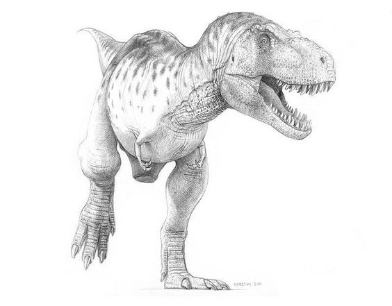 Realistic grey-ink rex dinosaur tattoo design