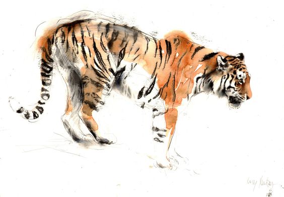 Realistic head watercolor body tiger tattoo design