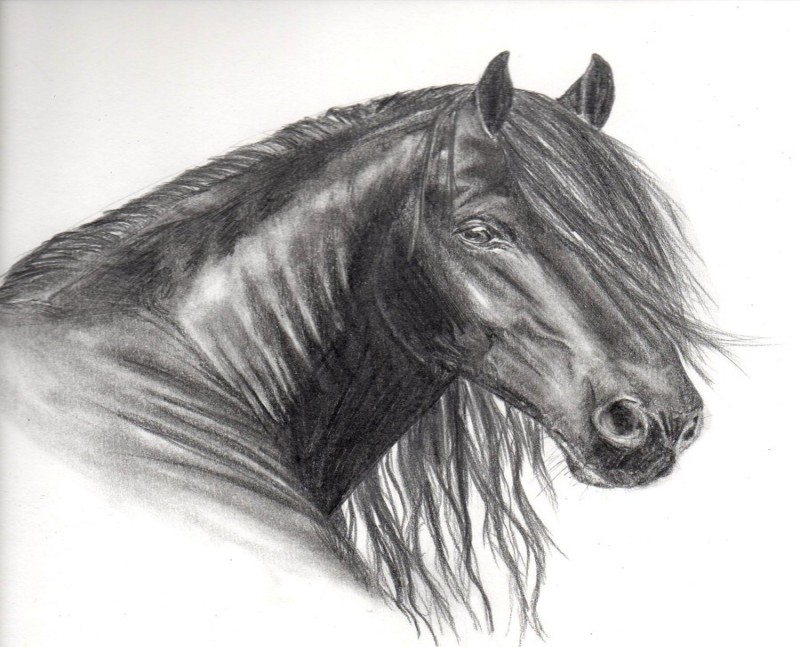 Realistic horse head tattoo design by Wintha