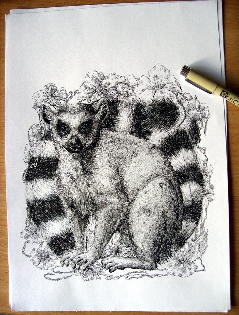 Realistic pencil work lemur in floral frame tattoo design by Houndourka