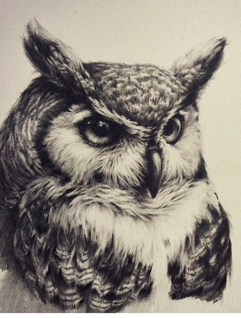 Realistic severe black-and-white owl tattoo design