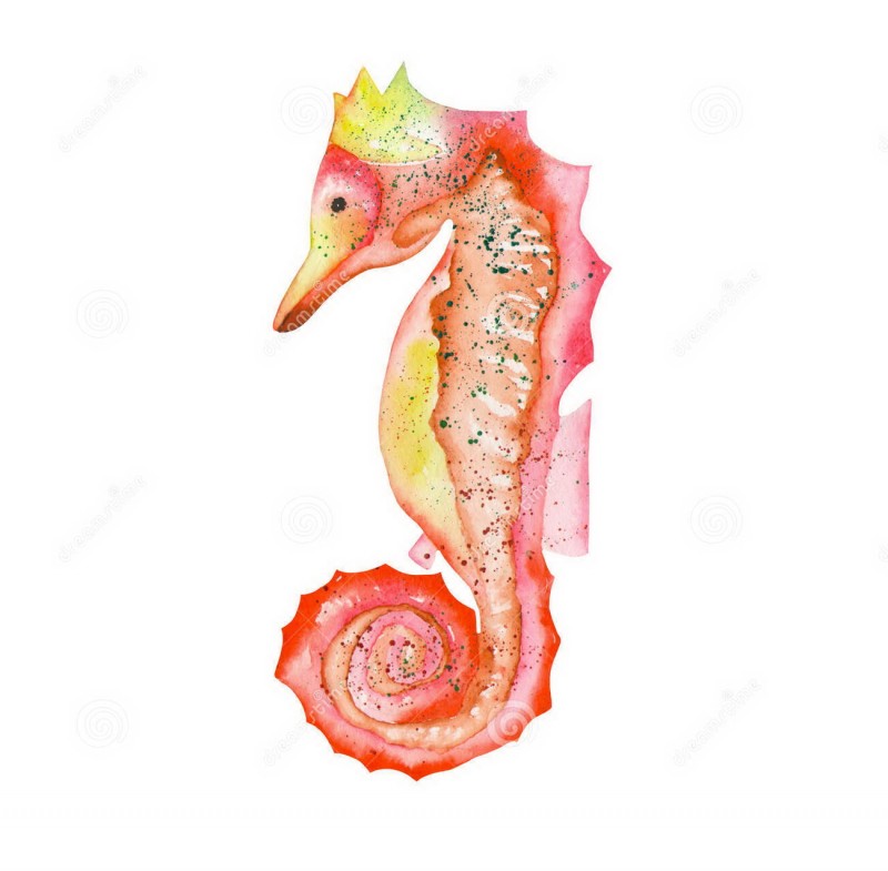 Red-and-yellow watercolor seahorse in spots tattoo design