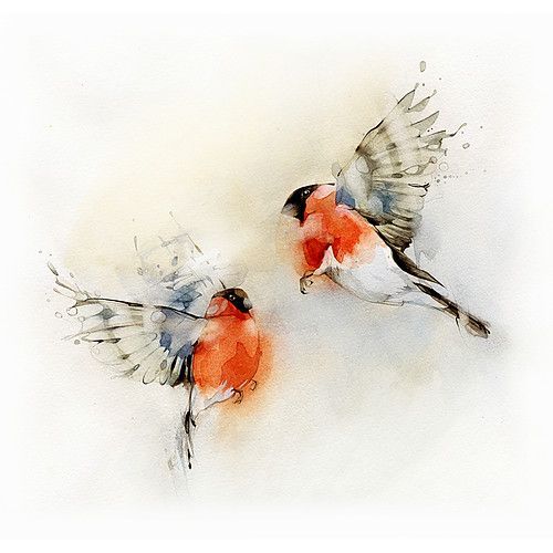 Red-belly bird couple tattoo design