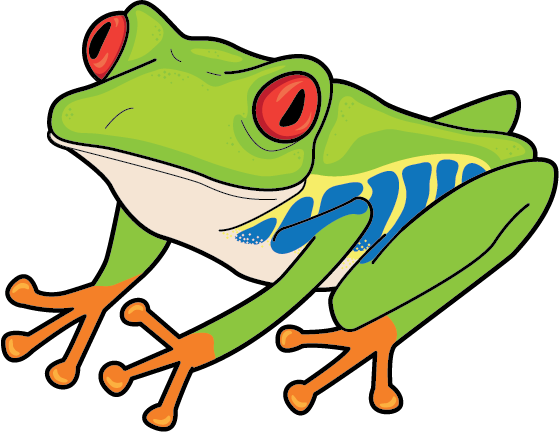 Red-eyed smiling frog tattoo design