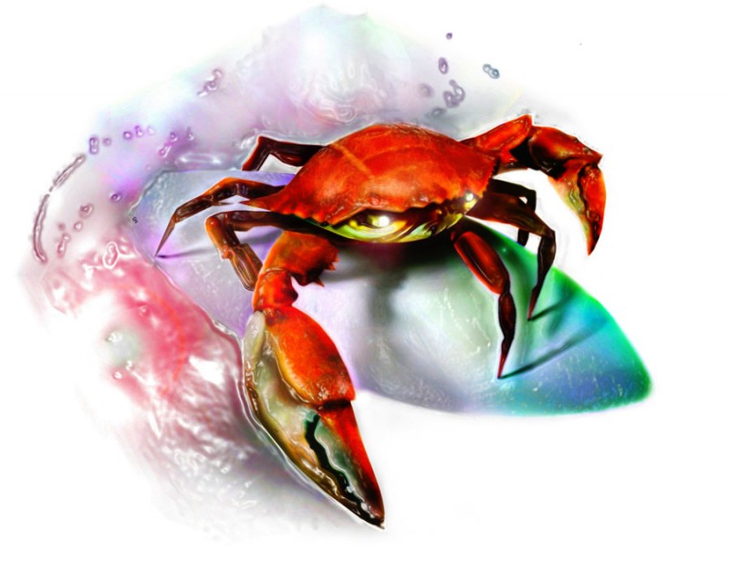Red animated crab surfing on purple water tattoo design by The Charlie Browniest