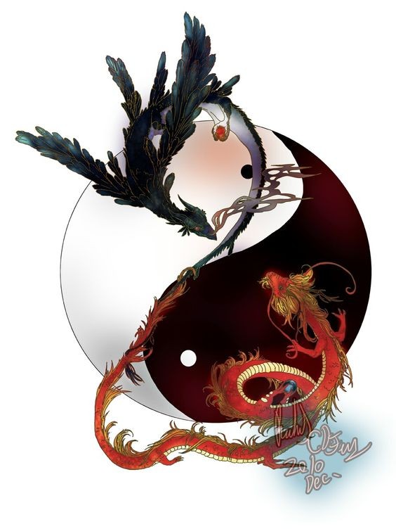 Dragão vermelho e fênix negra com enorme design de tatuagem yin yang