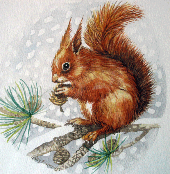 Red squirrel sitting on pine tree branch tattoo design