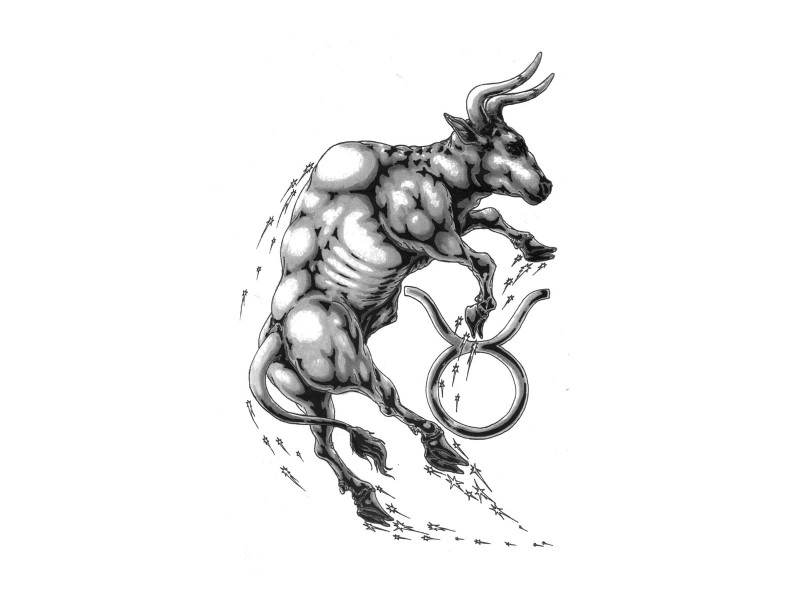 Restless grey-ink bull and zodiac symbol tattoo design