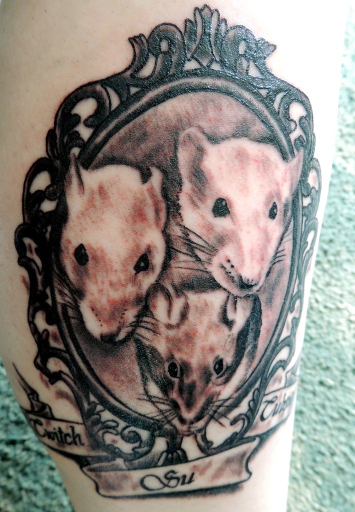 Tatuaje de retrato de tres ratas en el marco decorativo