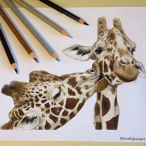 Romantic brown-color kissing giraffe couple tattoo design