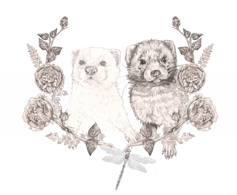 Romantic grey-ink rodent couple in floral frame tattoo design