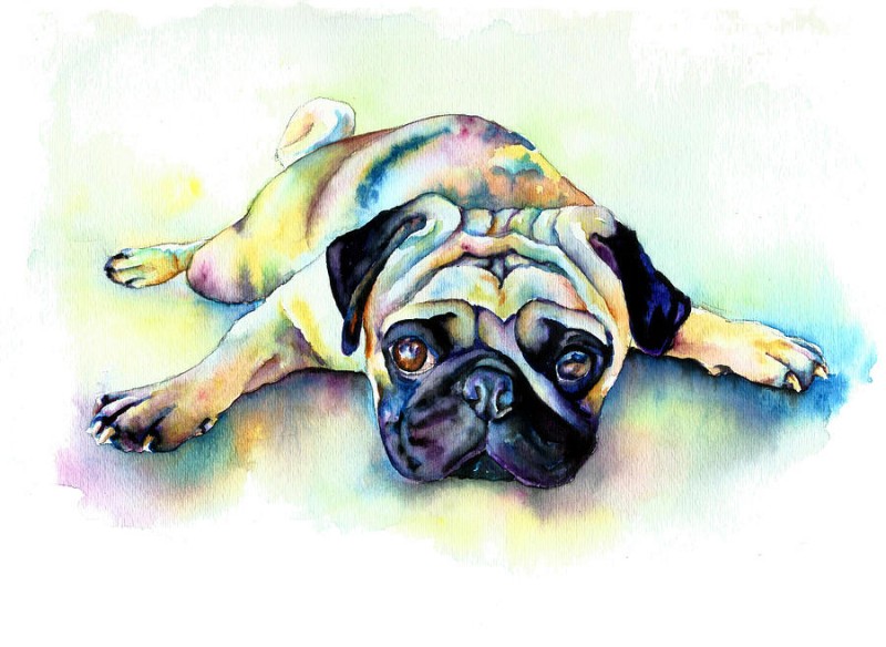 Sad lying watercolor bulldog tattoo design