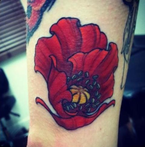 Scarlet poppy flower tattoo on arm