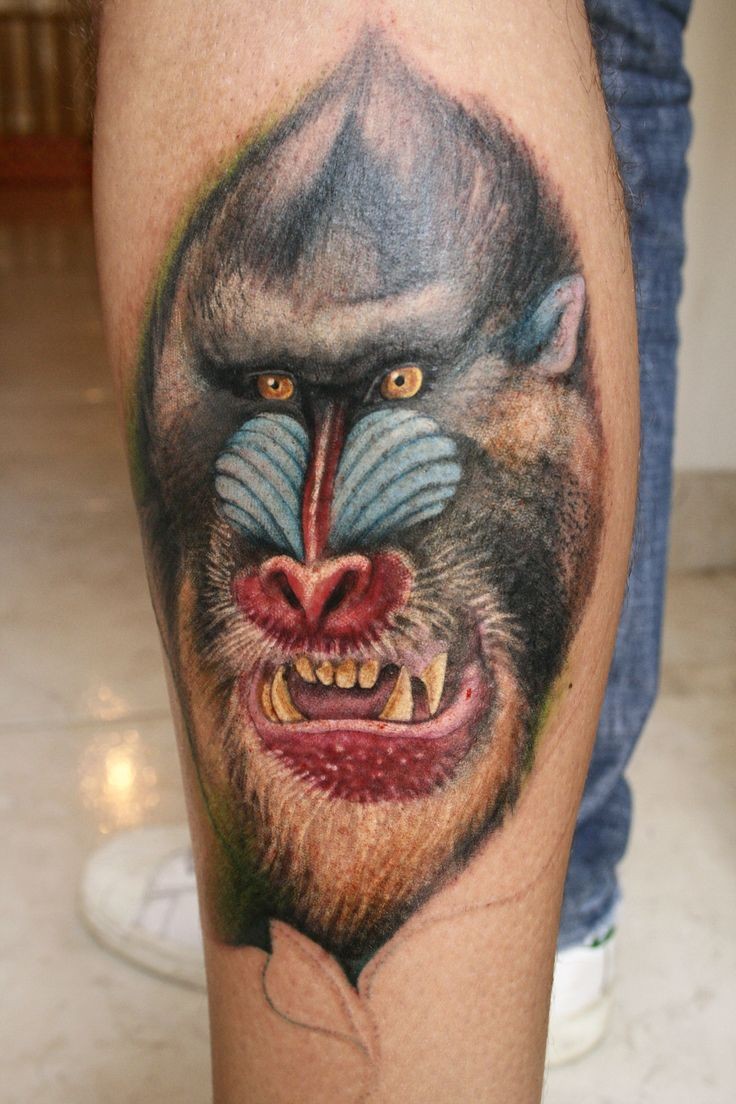 Scary color-ink baboon head tattoo on arm