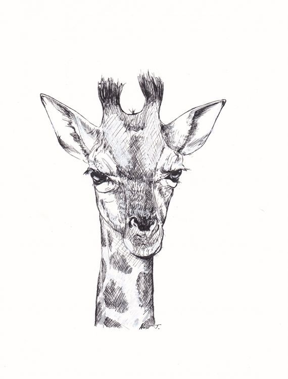 Severe black-and-white giraffe portrait tattoo design
