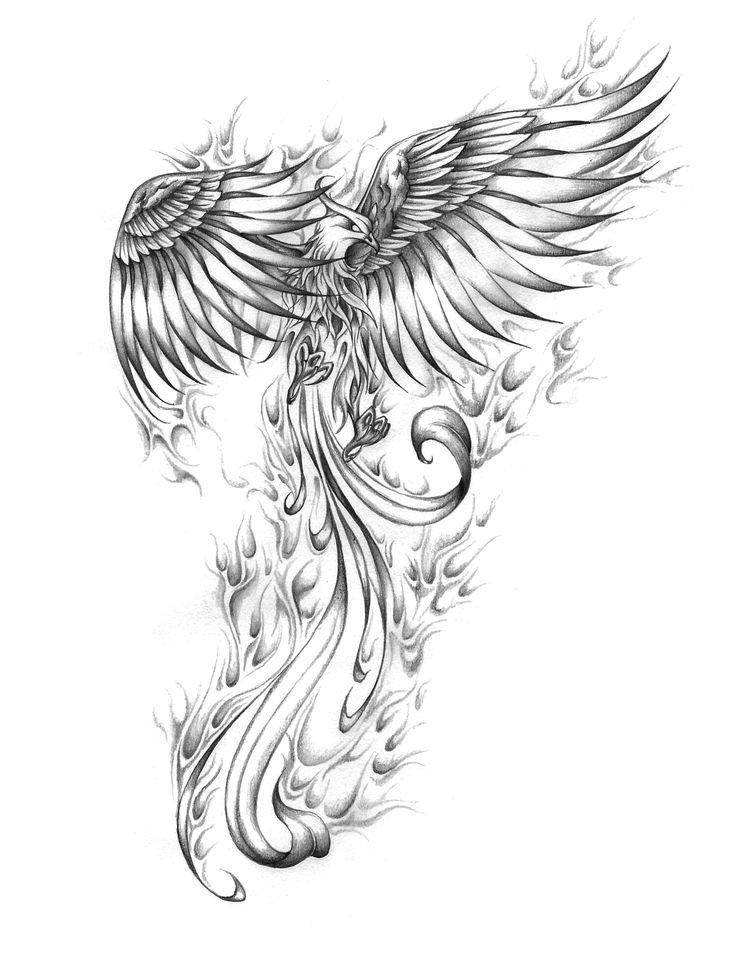 Severe grey-ink phoenix flying in flame tattoo design