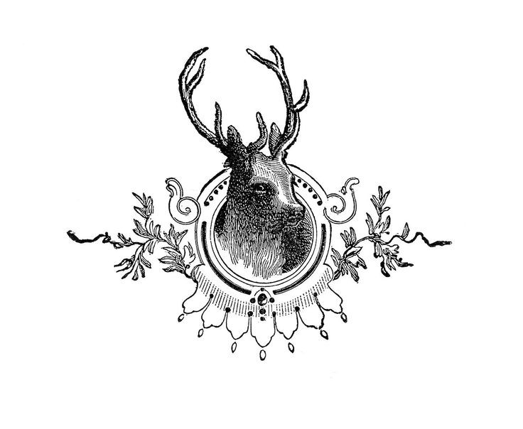 Shu black deer in curly frame tattoo design