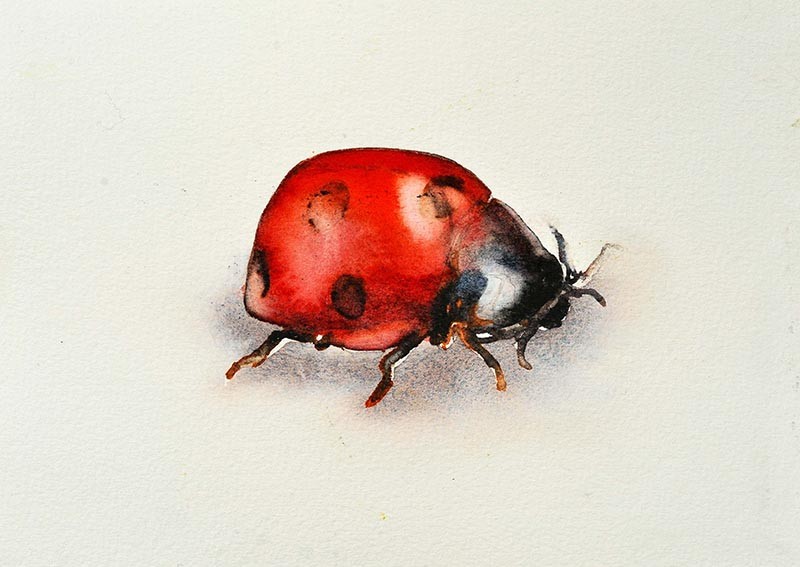 Shy brightly watercolor ladybug tattoo design