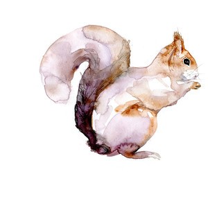 Shy small watercolor squirrel tattoo design