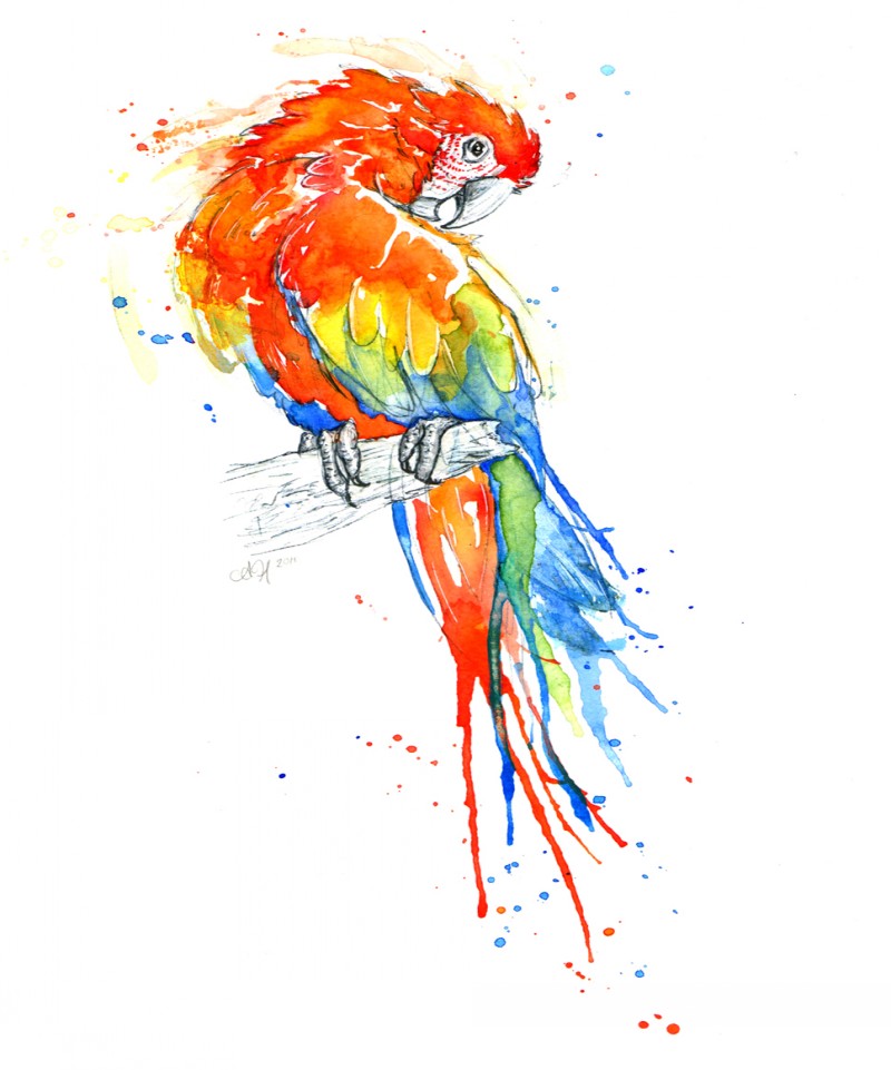 Shy watercolor sitting parrot tattoo design