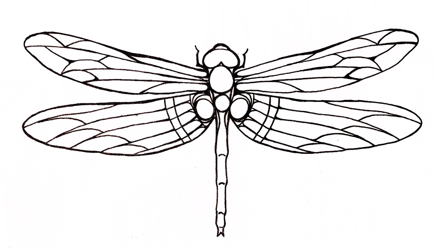 Simple big outline dragonfly tattoo design