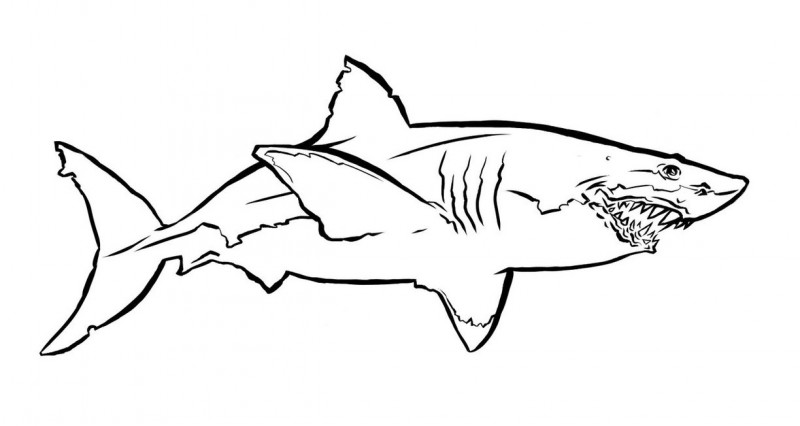 Simple big outline shark tattoo design - Tattooimages.biz