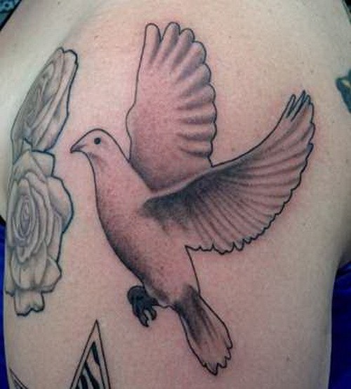 Simple black-and-white dove tattoo on upper arm