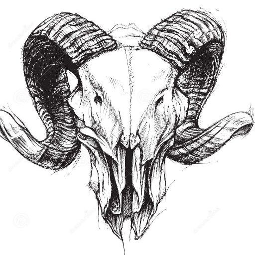 Simple black-and-white ram skull tattoo design