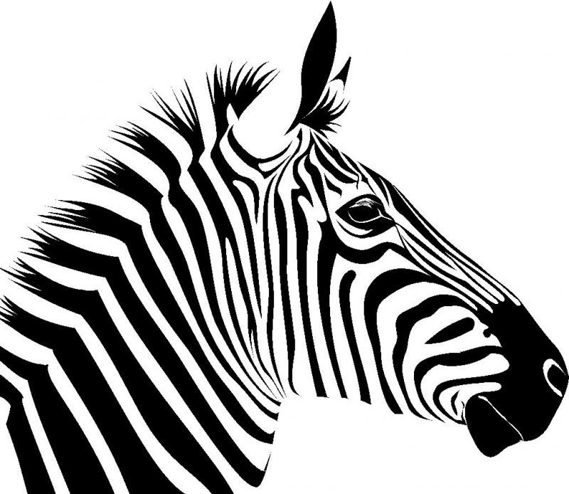 Simple black-and-white zebra head in profile tattoo design