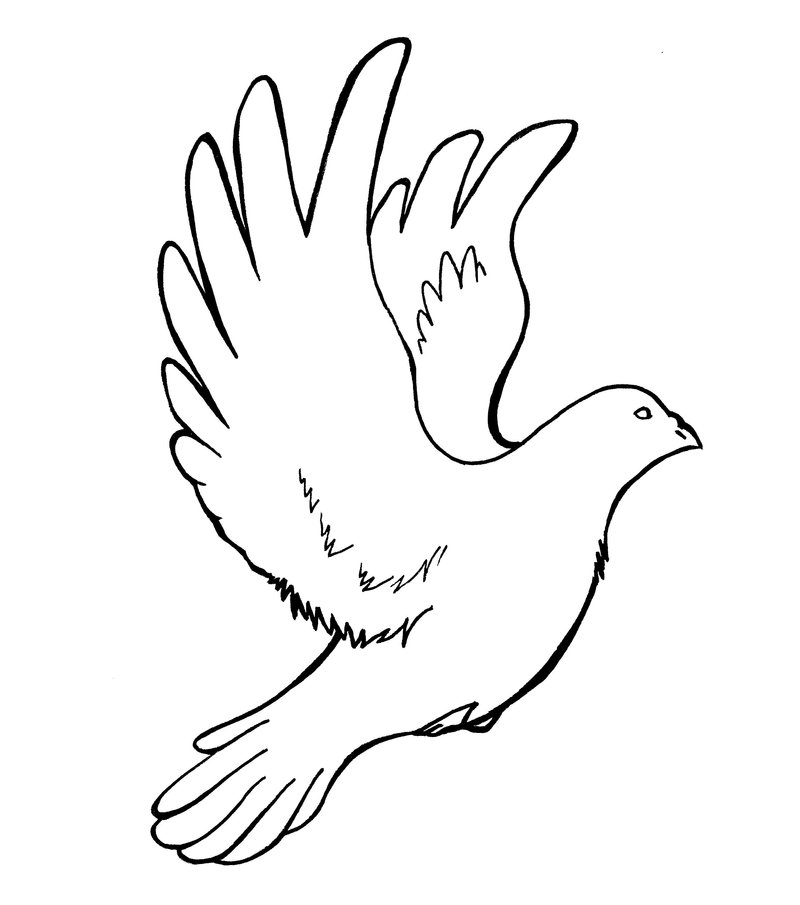Simple black-contour dove tattoo design by Mackico