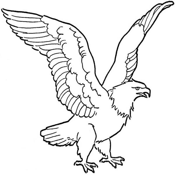 Simple black-line eagle tattoo design
