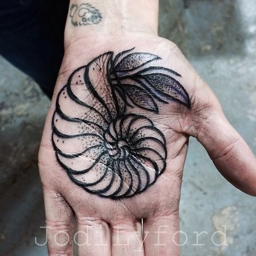 Tatuaje de mano de tinta negra simple de pequeño nautilus