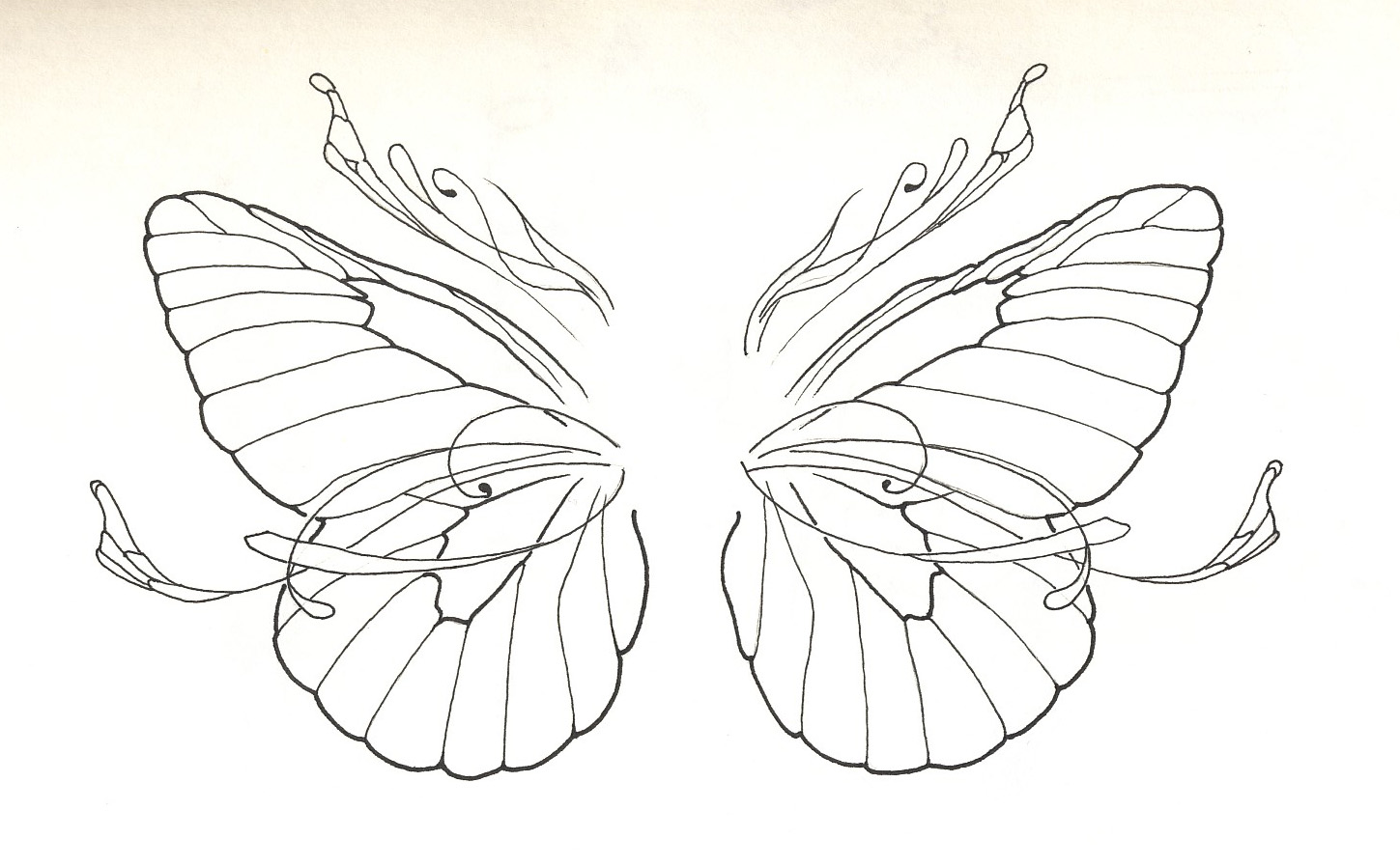 Simple bodyless wide open-winged butterfly by Scarecrow Black