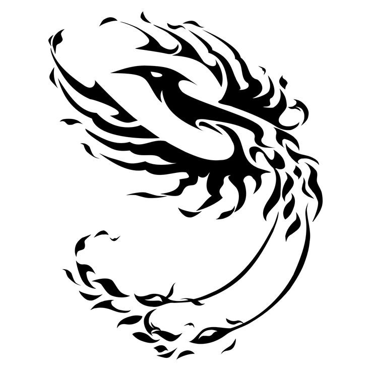 Estilo tribal negro corajoso simples projeto de tatuagem de phoenix
