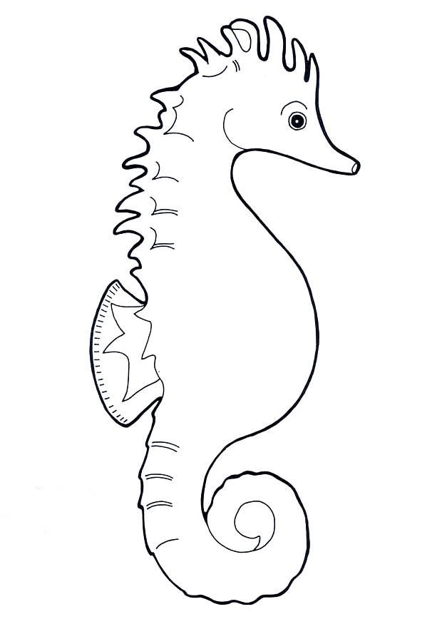 Simple cartoon outline seahorse tattoo design