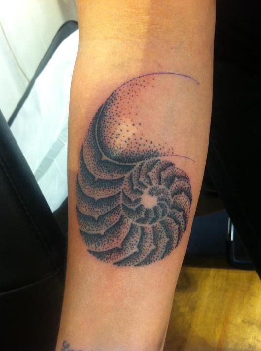 Tatuaje de antebrazo de tinta negra estilo punto simple de concha de nautilus